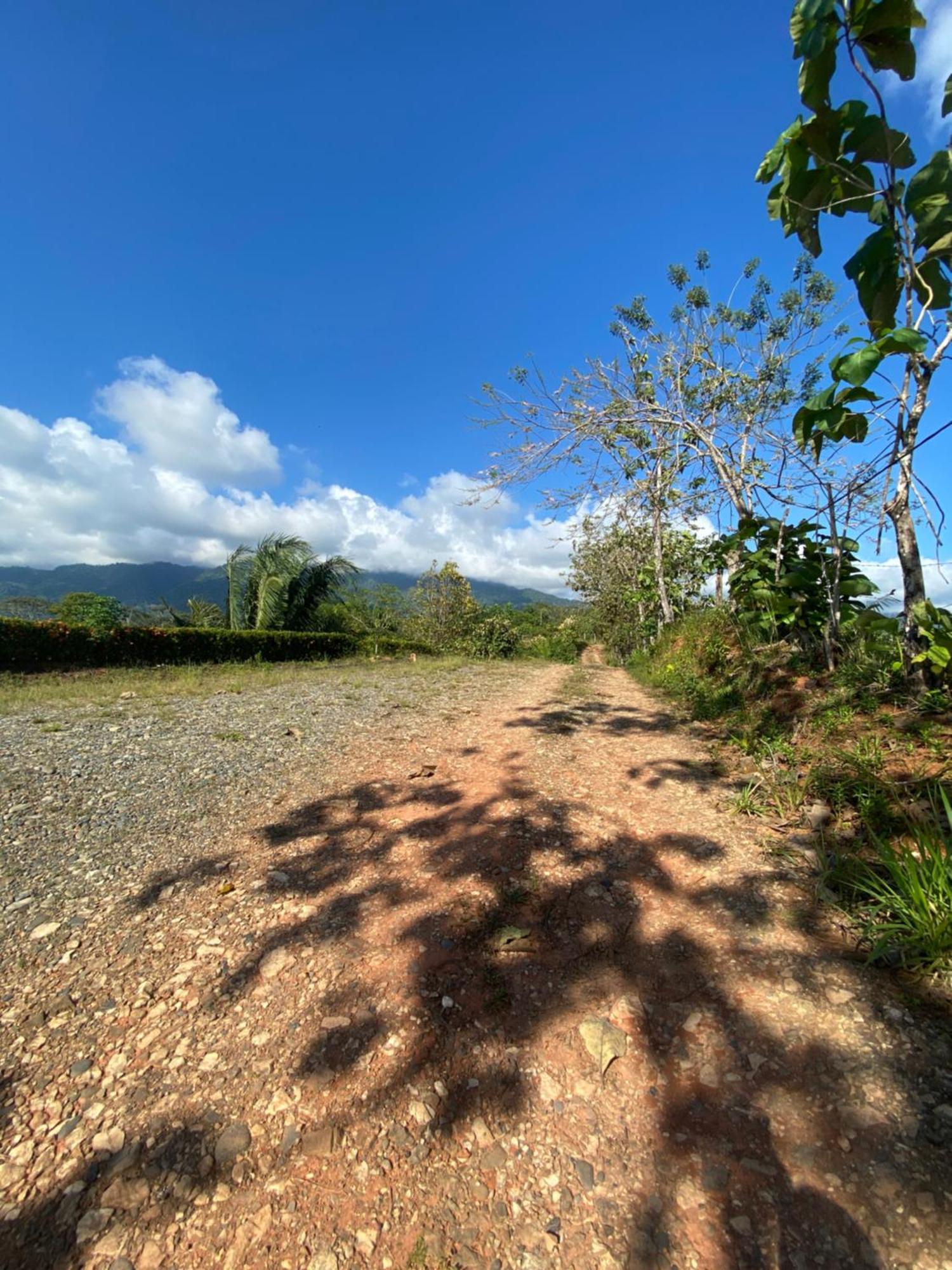 Valles Of Osa Palmar Sur Екстер'єр фото